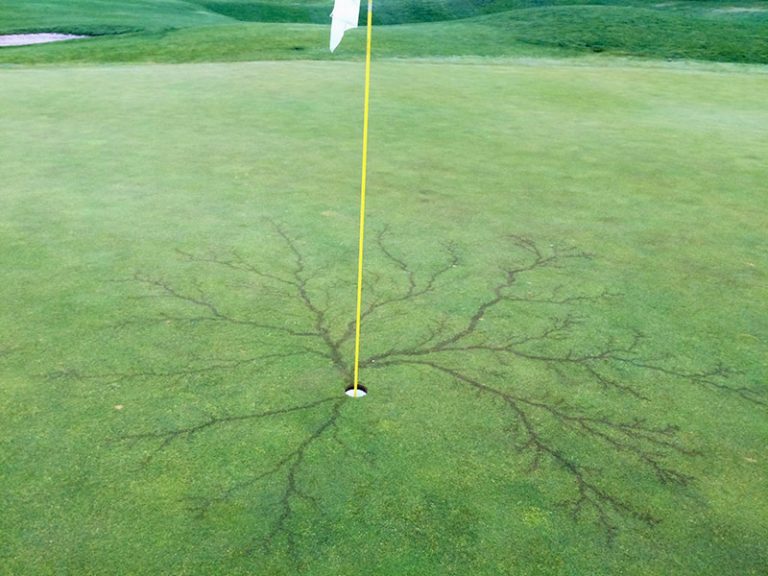 Lightning Strikes Golf Flag and Scorches Putting Green at Local Course