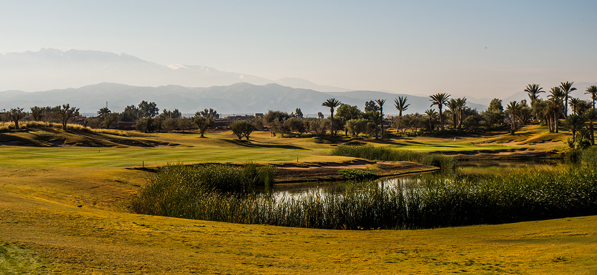 HOG World Tour Visits Morocco’s Royal Palm Golf Club in Marrakech ...